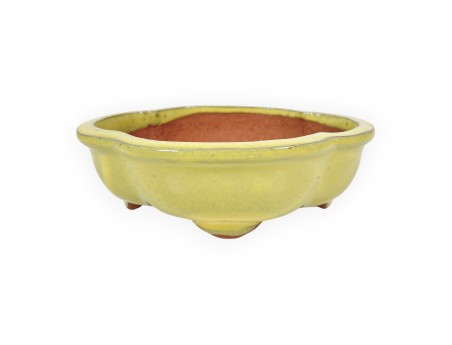 Pot à nuage en grès émaillé pour bonsaïs chinois - 16 cm