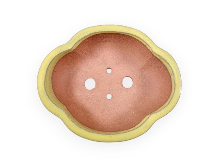 Maceta nube de gres esmaltado para Bonsái chinese - 16 cm