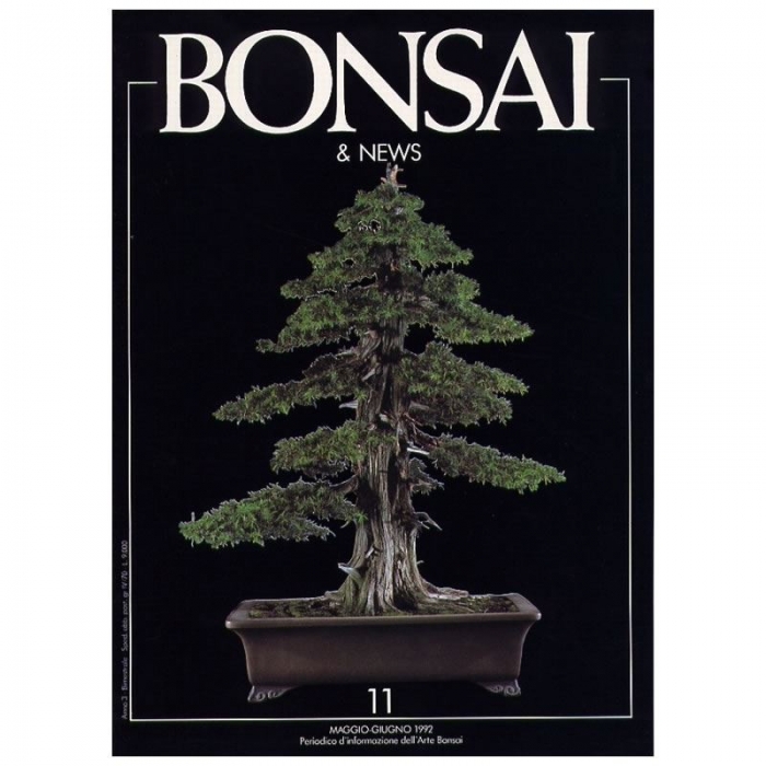 BONSAI & news n.  11 - Maggio-Giugno 1992