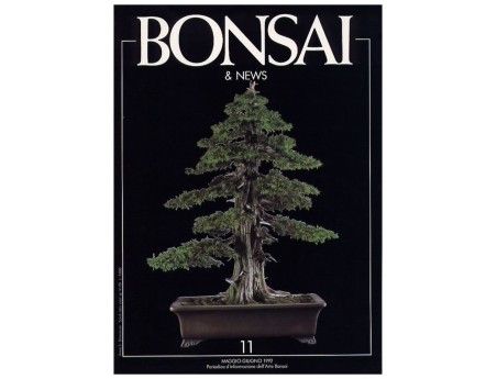 BONSAI & news n.  11 - Maggio-Giugno 1992