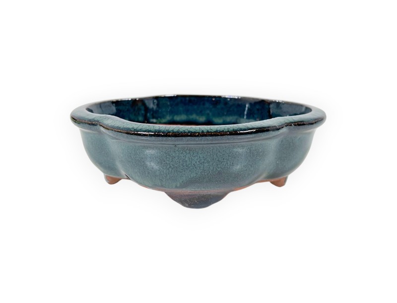 Maceta nube de gres esmaltado para Bonsái chinese - 16 cm