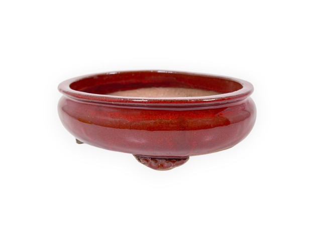 Vaso Bonsai Cinese Ovale in Grès Smaltato - 15,5 cm 2