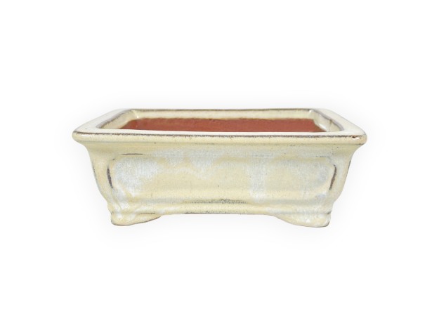 Maceta rectangular de gres esmaltado para Bonsái chinese - 16 cm