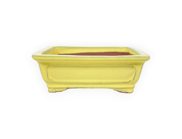 Maceta rectangular de gres esmaltado para Bonsái chinese - 16 cm
