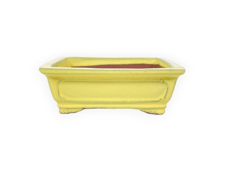 Rechthoekig geglazuurde steengoed Chinese Bonsai pot - 16 cm