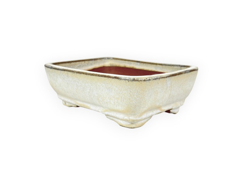 Maceta rectangular de gres esmaltado para Bonsái chinese - 16 cm