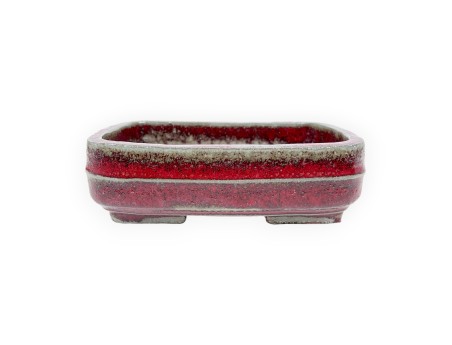 Vaso Bonsai Cinese Rettangolare in Grès Smaltato - 15,5 cm