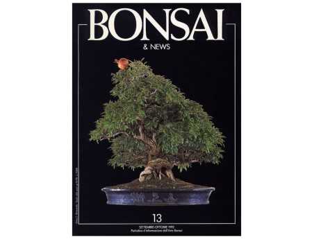 BONSAI & news n.  13 - Settembre-Ottobre 1992