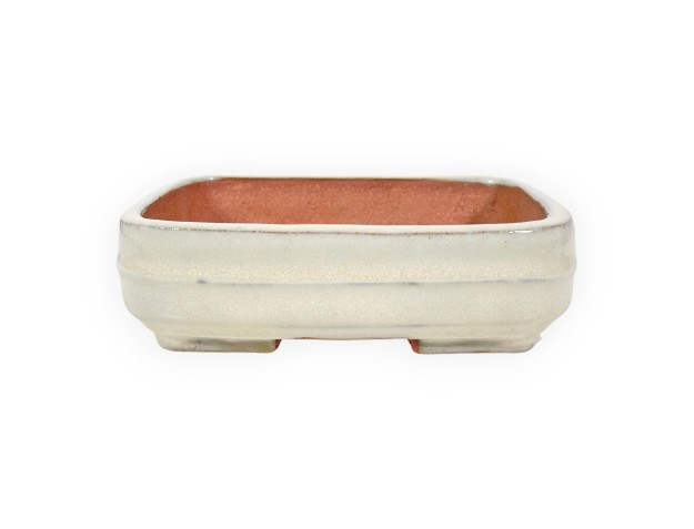Vaso Bonsai Cinese Rettangolare in Grès Smaltato - 15,5 cm