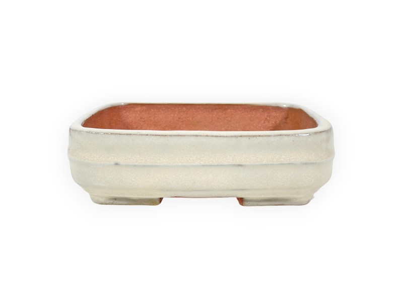 Rectangular glazed stoneware Chinese Bonsai pot - 15,5 cm