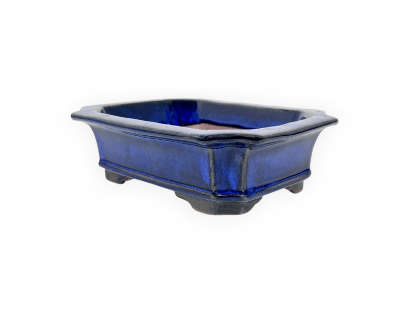 Maceta rectangular de gres esmaltado para Bonsái chinese - 16 cm