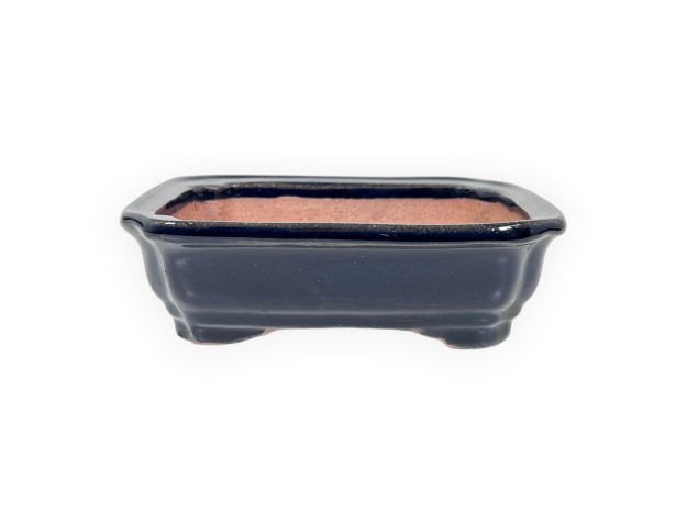 Rectangular glazed stoneware Chinese Bonsai pot - 16 cm