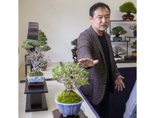 Rondleiding door het Bonsai Shohin Festival 2026 | Meester Hiroki Miura