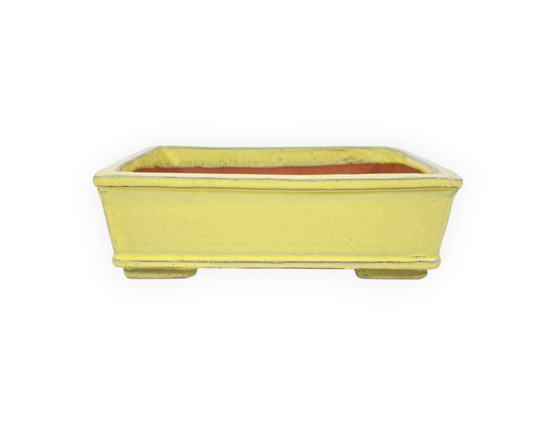 Maceta rectangular de gres esmaltado para Bonsái chinese - 18 cm