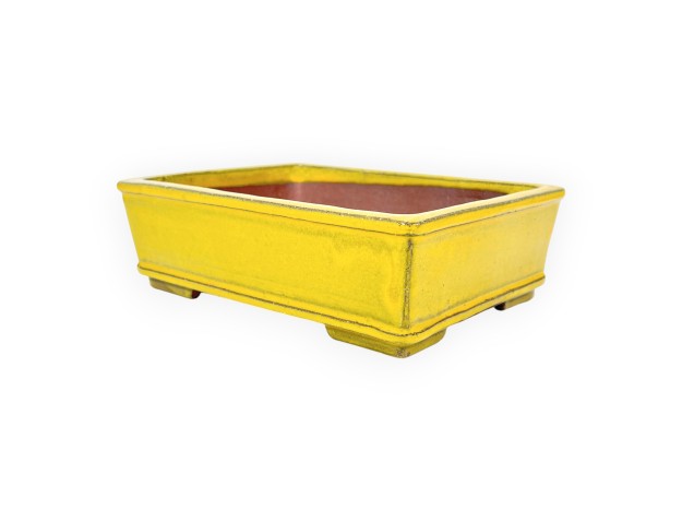 Maceta rectangular de gres esmaltado para Bonsái chinese - 18 cm 2