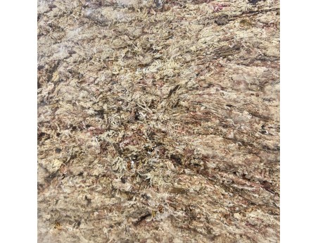 Musgo Sphagnum para Bonsái | Musgo natural de fibra larga para estratificación