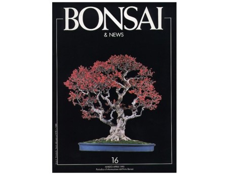 BONSAI & news n.  16 - Marzo-Aprile 1993