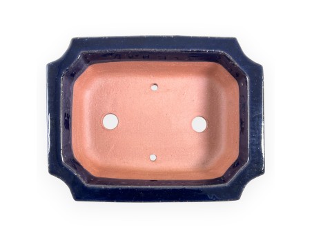 Maceta rectangular de gres esmaltado para Bonsái chinese - 21,5 cm