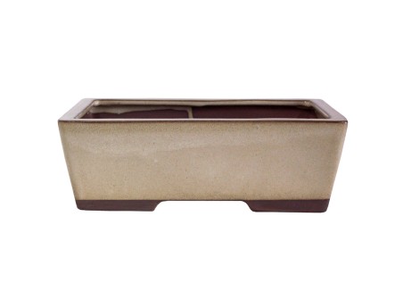 Maceta rectangular de gres esmaltado para Bonsái chinese - 24 cm