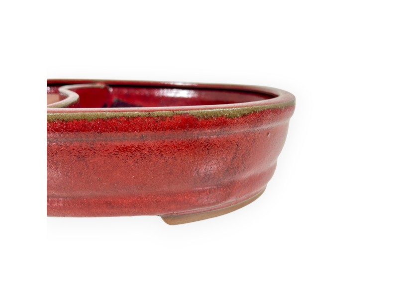 Vaso Bonsai Cinese Ovale in Grès Smaltato - 31 cm