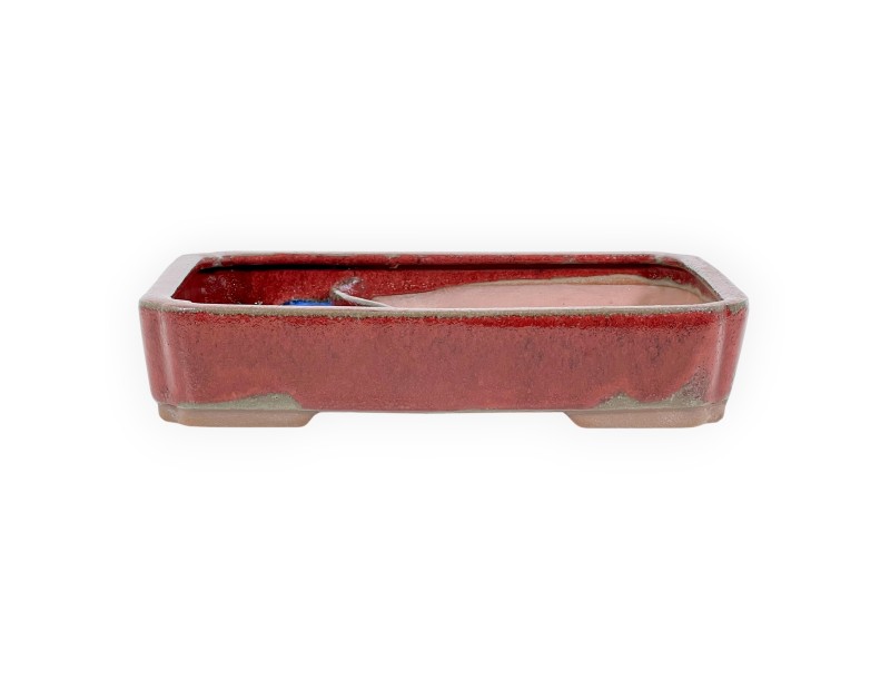 Maceta rectangular de gres esmaltado para Bonsái chinese - 26 cm