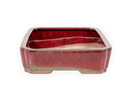 Maceta rectangular de gres esmaltado para Bonsái chinese - 26 cm
