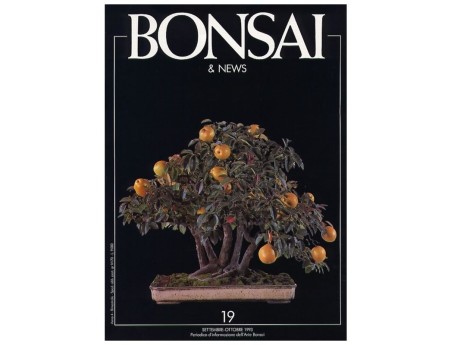 BONSAI & news n.  19 - Settembre-Ottobre 1993