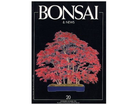 BONSAI & news n.  20 - Novembre-Dicembre 1993