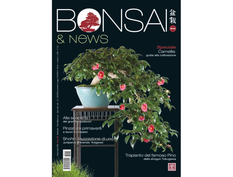 Bonsai & News | Crespi Bonsai Magazine: Cultura y Técnicas del Bonsai