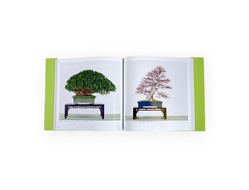 Katalog Kokufu 94 (2020) - Bonsai Kokufu-ten Japan