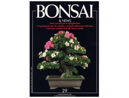 BONSAI & news n.  29 - Maggio-Giugno 1995