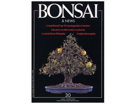 BONSAI & news n.  30 - Luglio-Agosto 1995
