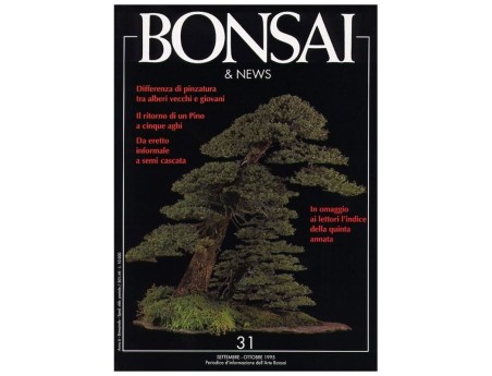 BONSAI & news n.  31 - Settembre-Ottobre 1995