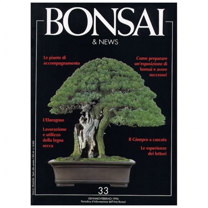BONSAI & news n.  33 - Gennaio-Febbraio 1996