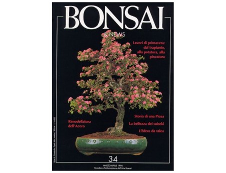 BONSAI & news n.  34 - Marzo-Aprile 1996
