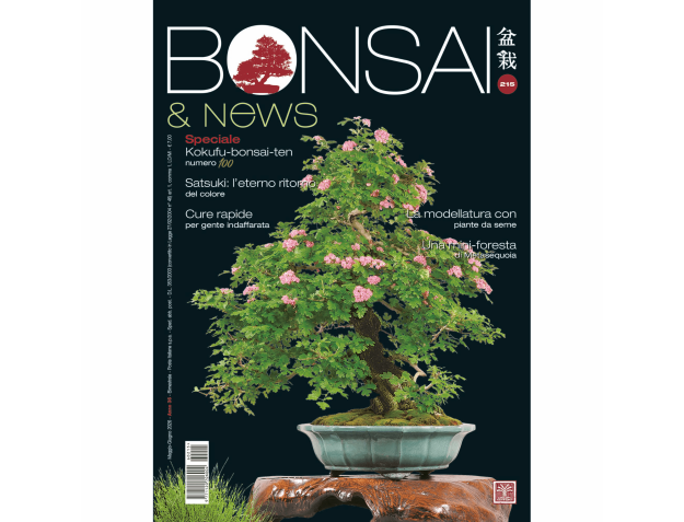 Bonsai & News | Crespi Bonsai Magazine: Bonsai Culture and Techniques