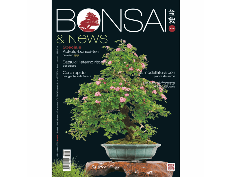 Bonsai & News | Crespi Bonsai Magazin: Bonsai Kultur und Techniken