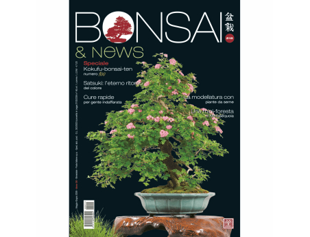 Bonsai & News | Rivista Crespi Bonsai: Cultura e Tecniche Bonsai