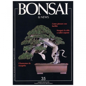 BONSAI & news n.  35 - Maggio-Giugno 1996