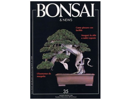 BONSAI & news n.  35 - Maggio-Giugno 1996