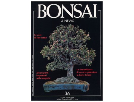 BONSAI & news n.  36 - Luglio-Agosto 1996