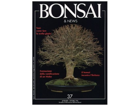 BONSAI & news n.  37 - Settembre-Ottobre 1996