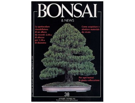 BONSAI & news n.  38 - Novembre-Dicembre 1996