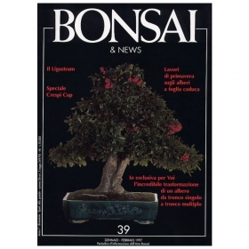 BONSAI & news n.  39 - Gennaio-Febbraio 1997