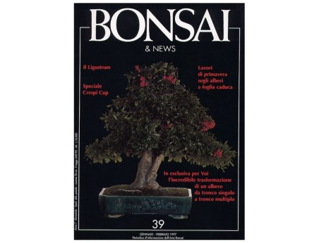 BONSAI & news n.  39 - Gennaio-Febbraio 1997