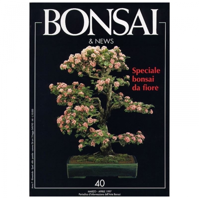 BONSAI & news n.  40 - Marzo-Aprile 1997