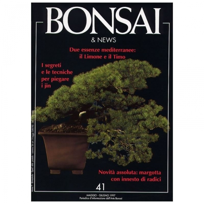 BONSAI & news n.  41 - Maggio-Giugno 1997