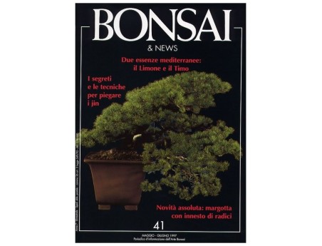 BONSAI & news n.  41 - Maggio-Giugno 1997