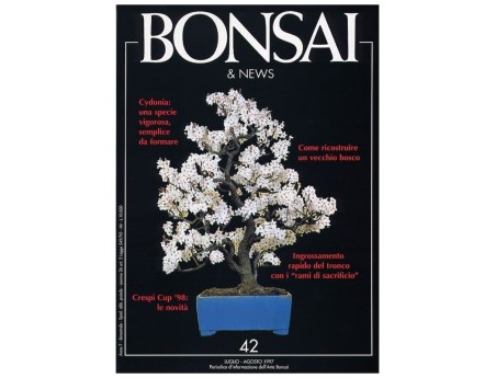BONSAI & news n.  42 - Luglio-Agosto 1997