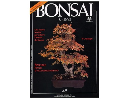 BONSAI & news n.  49 - Settembre-Ottobre 1998